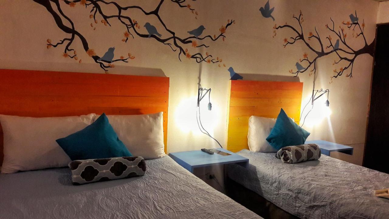 Hotel Y Arte Norte Antigua Εξωτερικό φωτογραφία