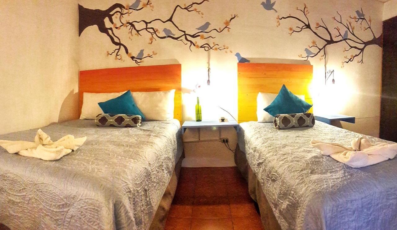 Hotel Y Arte Norte Antigua Εξωτερικό φωτογραφία