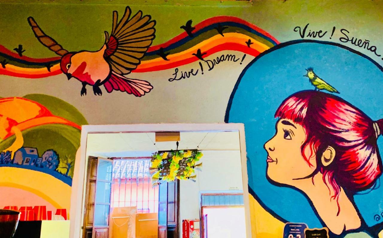 Hotel Y Arte Norte Antigua Εξωτερικό φωτογραφία